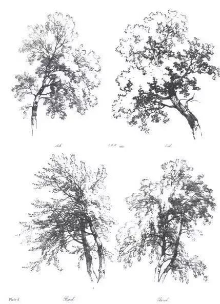 风景速写1000例临摹图高清,炭笔速写风景初学者图片教程