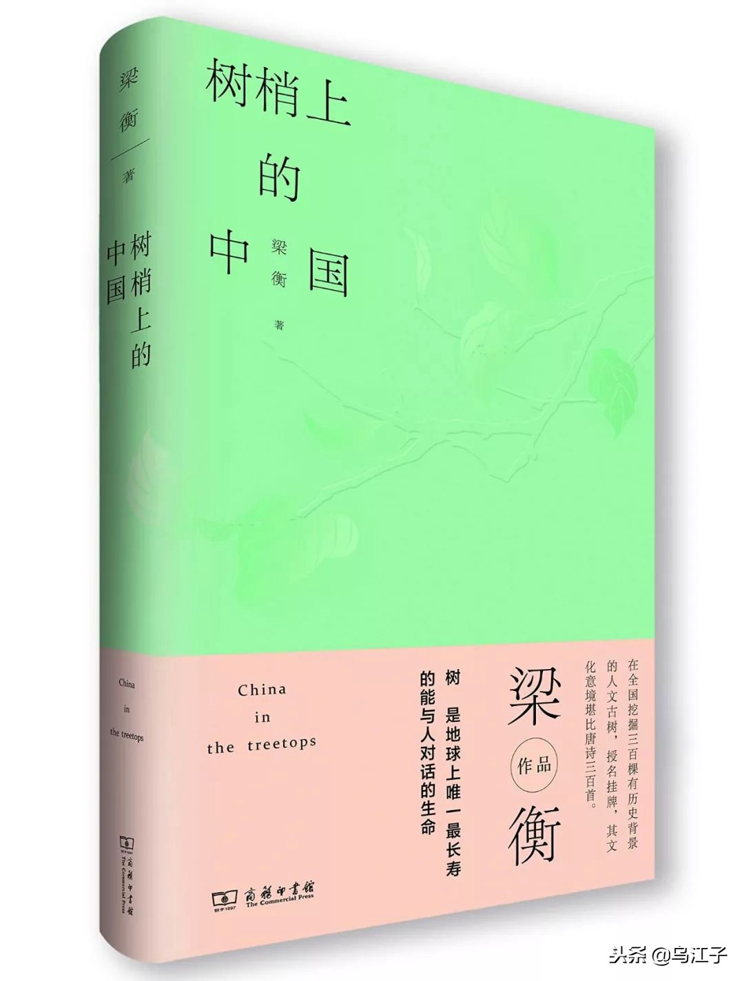 商务印书馆2023十大推荐书目,商务印书馆2023年度十种好书