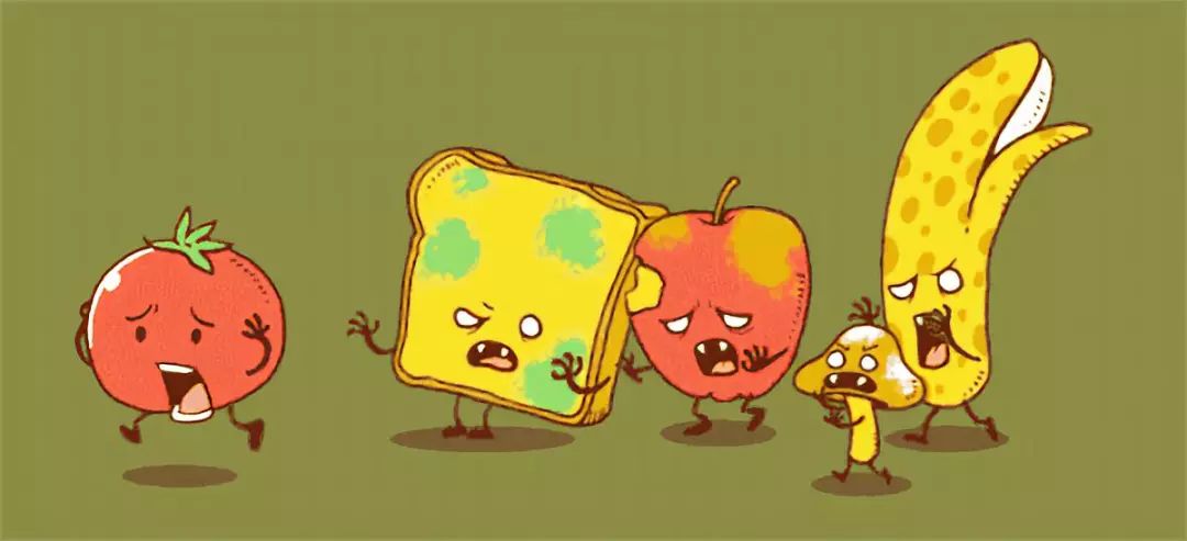 三十种绝对不能给猫吃的食物,猫不能吃的50种食物大全