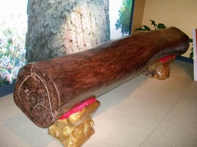 中国最贵的五种木材，你知道几种？