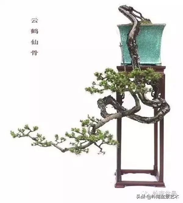 鎮礀缁濆閫㈢敓,鎮礀鐩嗘櫙澶у叏