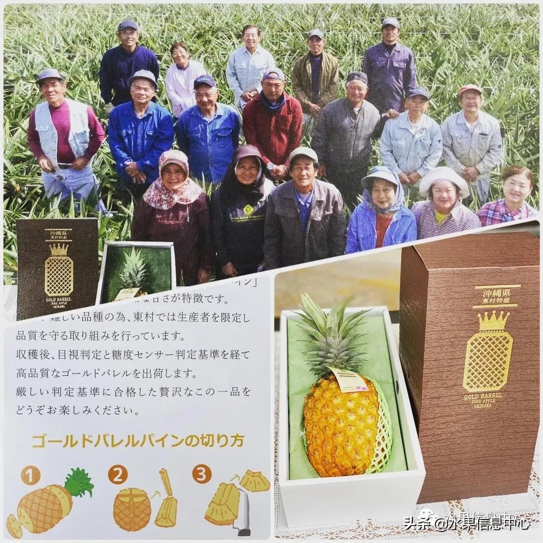 日本进口的菠萝,日本菠萝
