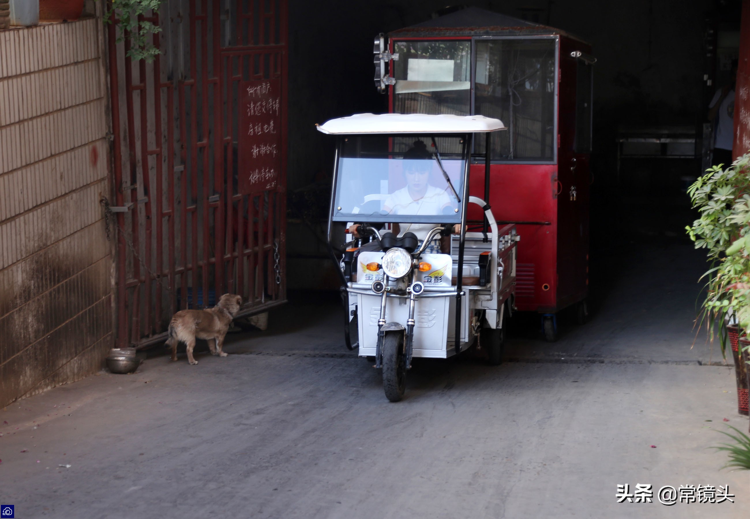 95后女孩摆摊小生意,90后女子摆摊创业