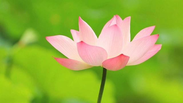 教你看穿人心的文章,看穿人性的十个秘诀