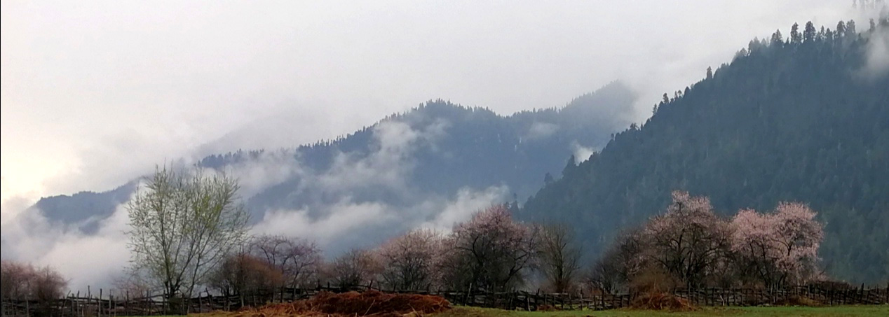 进藏day7试驾,自驾西藏day4