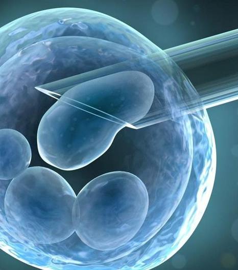 林志玲、徐静蕾等女星冻卵你怎么看？医生说：不建议冻卵