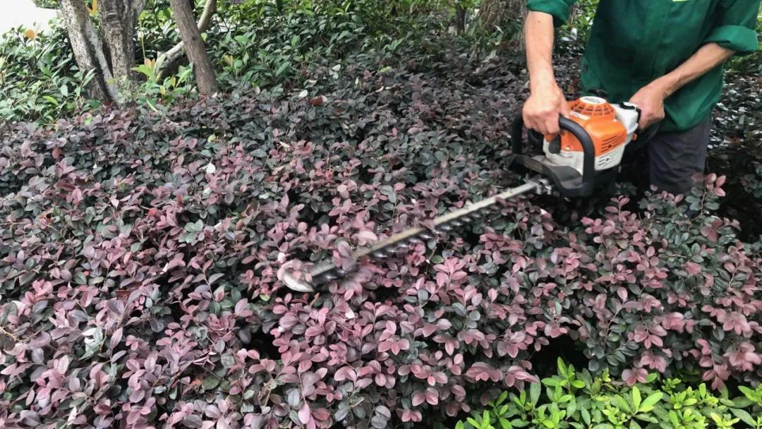 杭州金地天逸管家,杭州金地天逸城