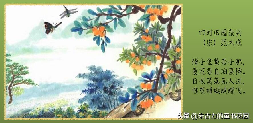 武亦姝诗词大会谈对诗词的感受,诗词大赛才女武亦姝