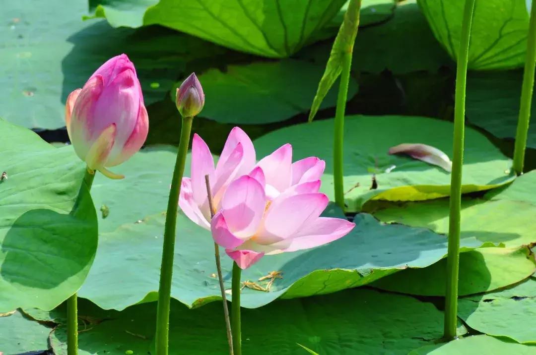 几个闺蜜自驾游的视频,一群闺蜜旅行视频