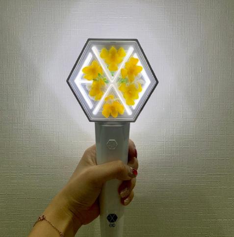 三代爱丽棒被吐槽，在爱丽的改造下成功“洗白”，EXOL真心灵手巧