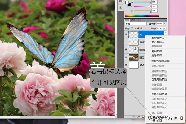 ps图层向下合并和图层合并的区别,photoshop图层与图层合并