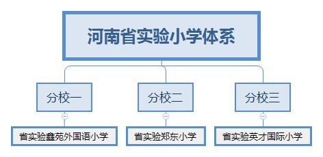 文博、英才...河南省实验”旗下9所中小学一览，谁是真正名校？