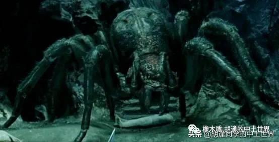 中土世界蜘蛛怎么拼图,中土世界大蜘蛛