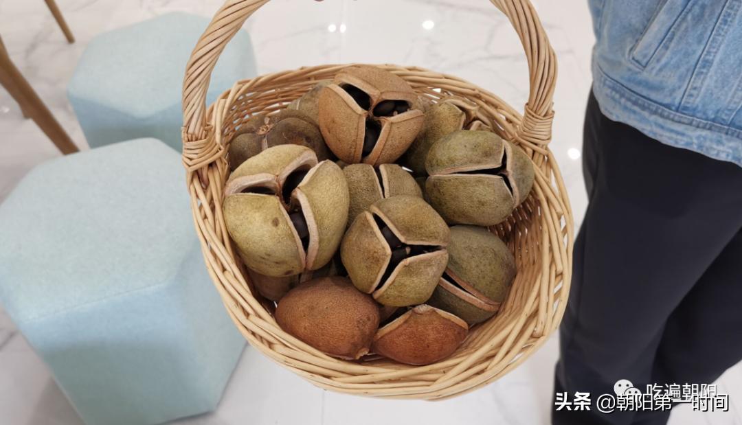 朝阳这家高颜值小店，冰淇淋1元1支？位于市中心，还有辽宁礼物