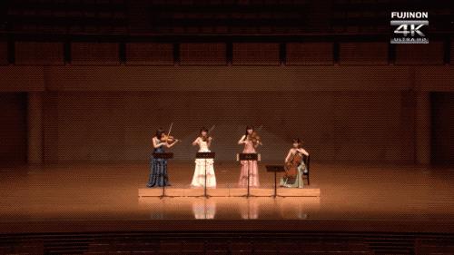 怎么知道网上的视频是不是专业摆拍?