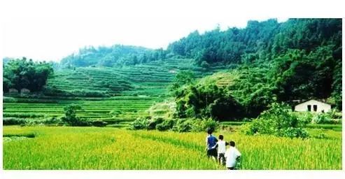 麻城在中国的位置,中国有多少个黄冈