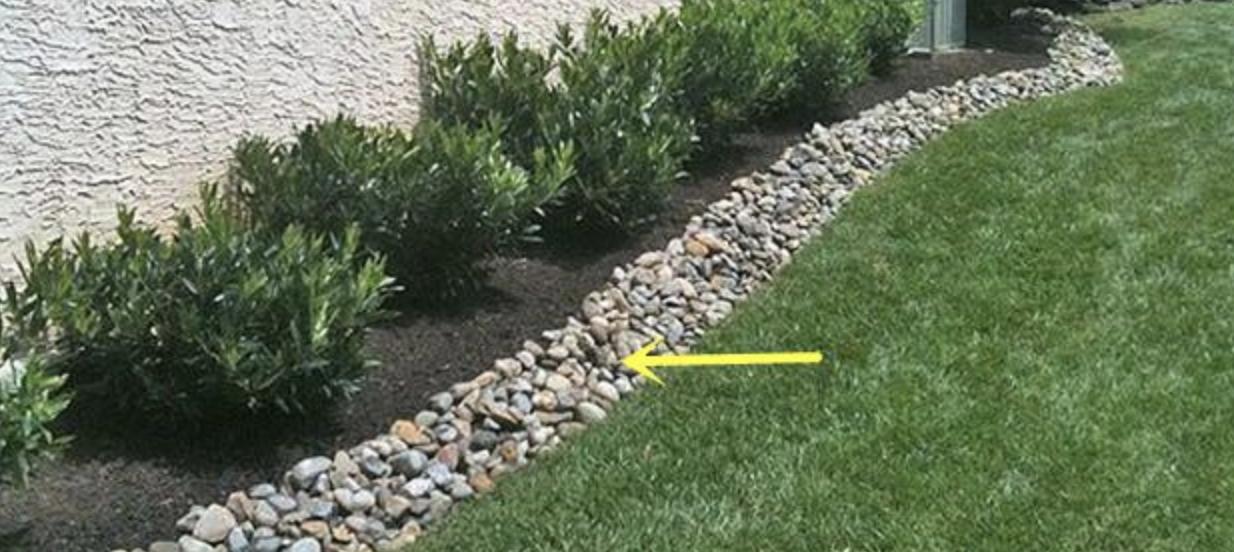 喝剩下的啤酒不要扔掉了,喝剩的饮料瓶别扔