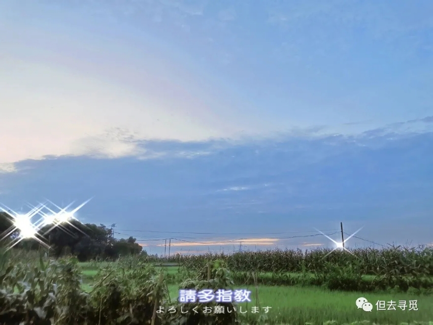 免费学习日语的app推荐,零基础学日语从零开始学习