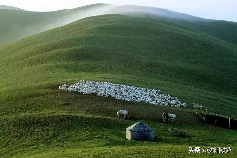 辽宁草原旅游专列,辽宁火车专列去草原