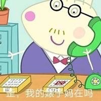 小猪佩奇骂人的表情包大全,小猪佩奇嫉妒嫌弃表情包