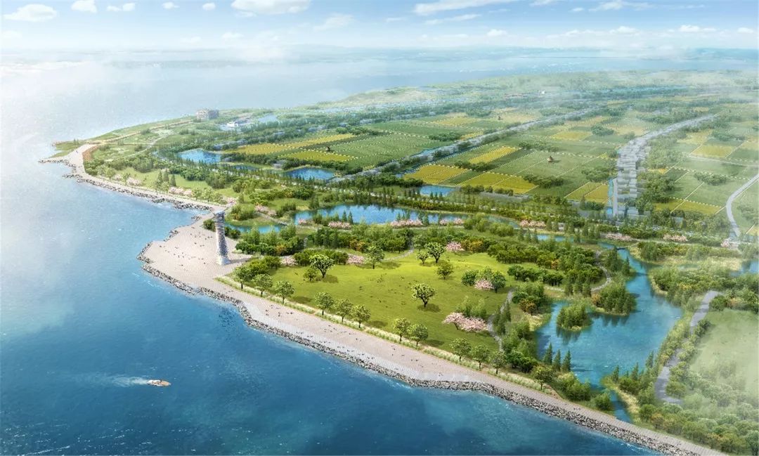 又被张家港圈粉了