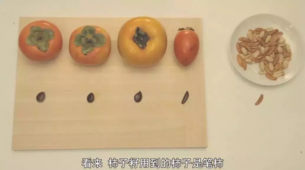 孩子暑期必看的50部神级纪录片,适合孩子和家长一起看的纪录片