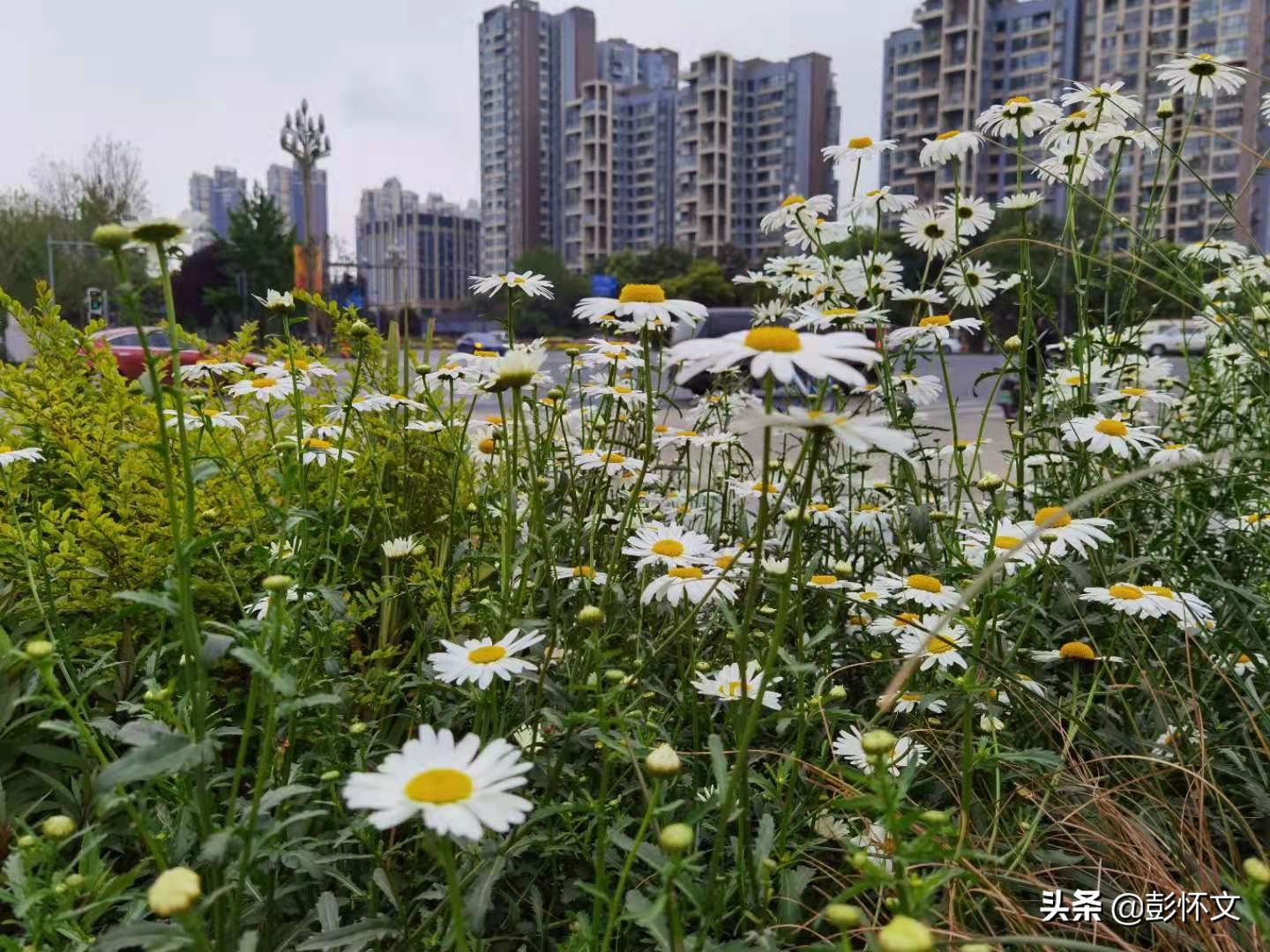 最新财税问题解答问题合集,最新财税知识解答大全