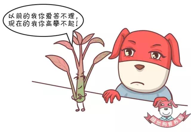 香菜、香椿……这些有味道的蔬菜，吃了有什么好处？