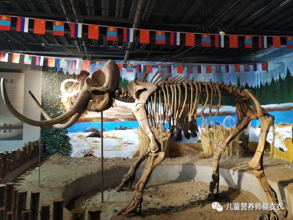 暑假带孩子内蒙古旅游攻略,暑期内蒙古亲子游鄂尔多斯