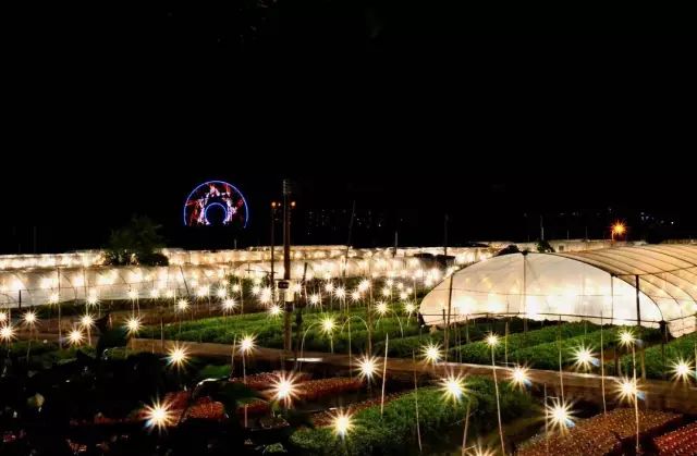 再见了相互嫌弃的老同学,再见了大别山原唱简谱