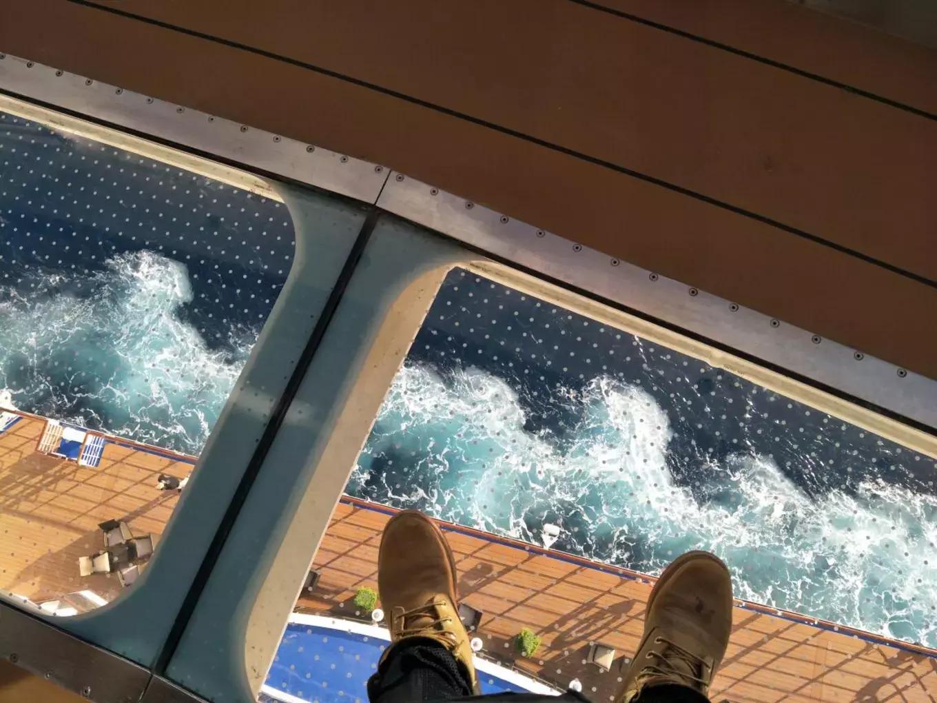 环球蜜月的小两口，免费上了一座价值8亿欧元的邮轮