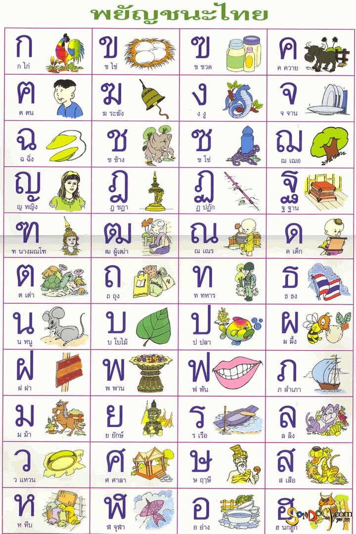 泰语的44个辅音发音表,泰语辅音元音声调