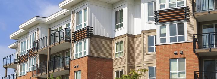 留学生辱骂父母要生活费,留学生辱骂父母