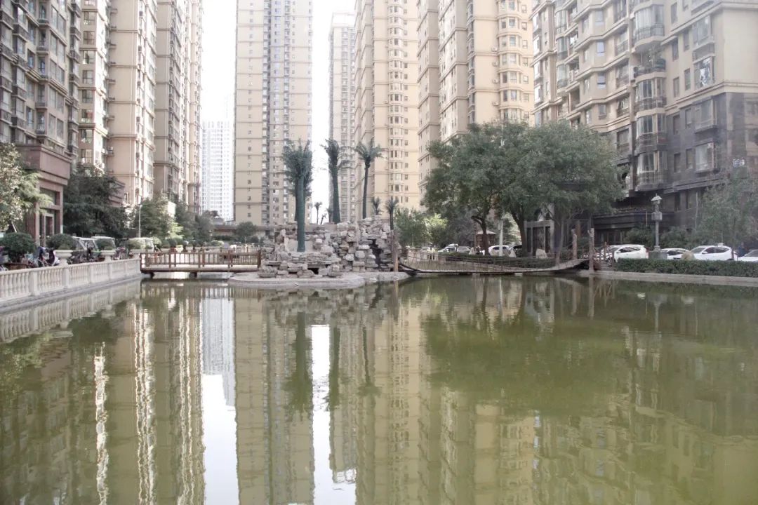 实探一线湖景房,石家庄房产探盘排行榜前十名