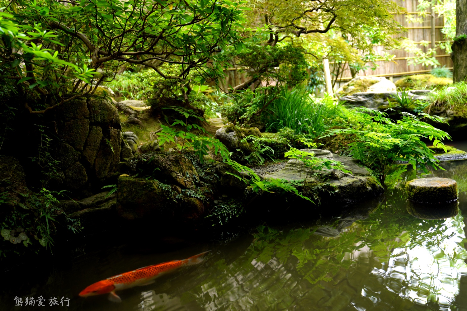 日本金箔冰淇淋金泽,日本金泽金箔雪糕