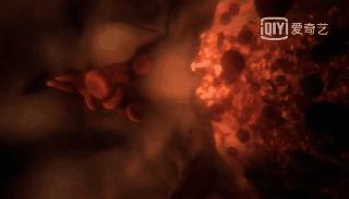 人体的奥秘与疾病,人体不知道的奥秘