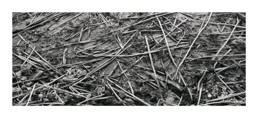 李涛摄影全集讲座,李涛摄影后期高级篇