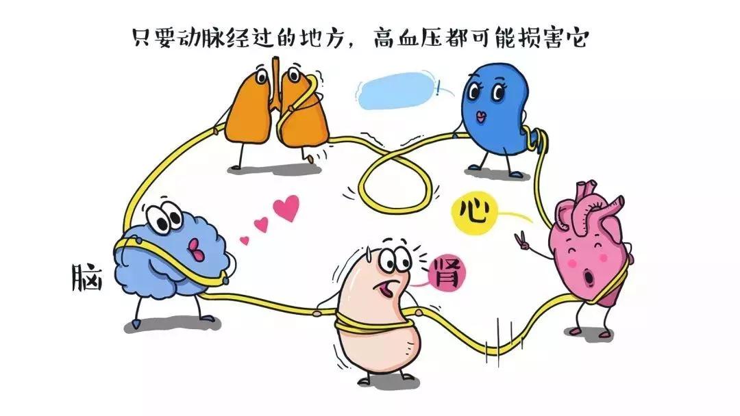 高血压的5种降压药及禁忌症,高血压患者要吃2种降血压的药