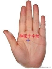 八分钟教你看手相,看手相学习好看哪根线