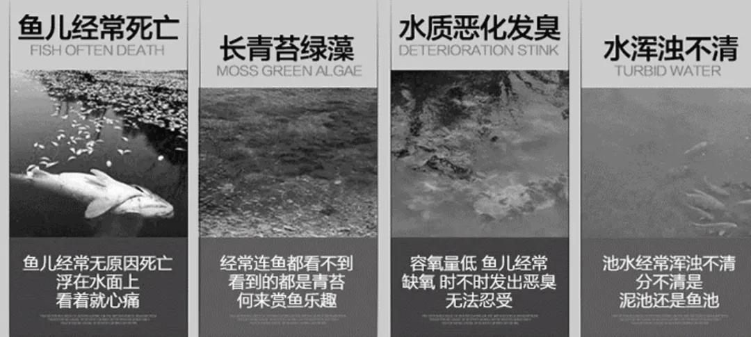 锦鲤鱼池下过滤池底粪便如何清除,锦鲤鱼池过滤系统十大注意事项