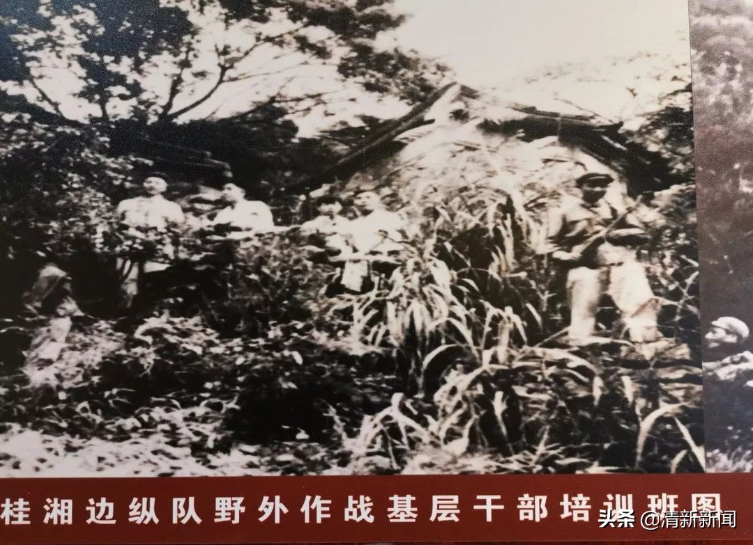 讲好秦都故事传承红色文化,清远秦皇山红色革命教育基地