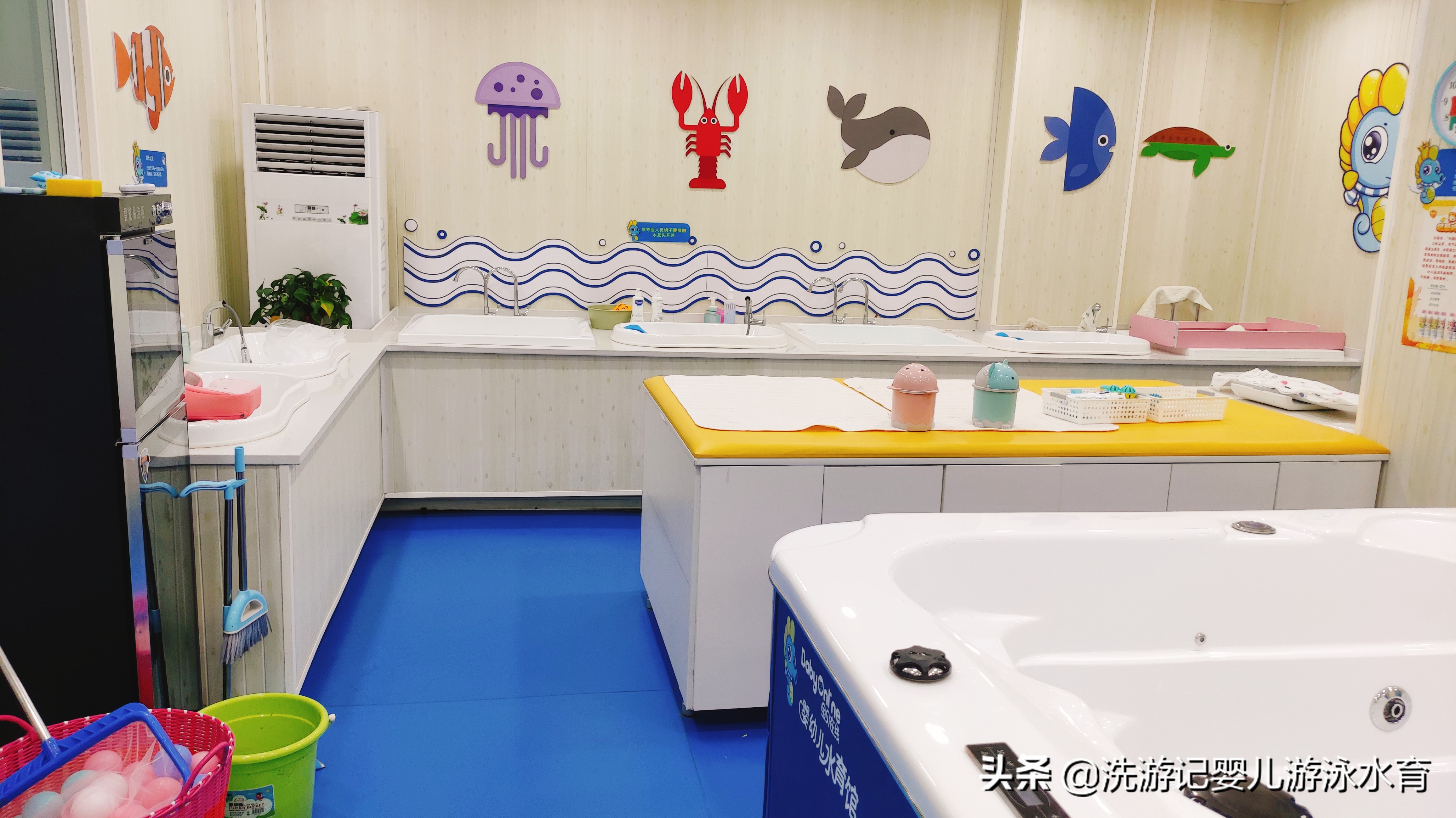 蓝鲸婴幼儿游泳加盟,开婴儿游泳加盟店费用大概多少