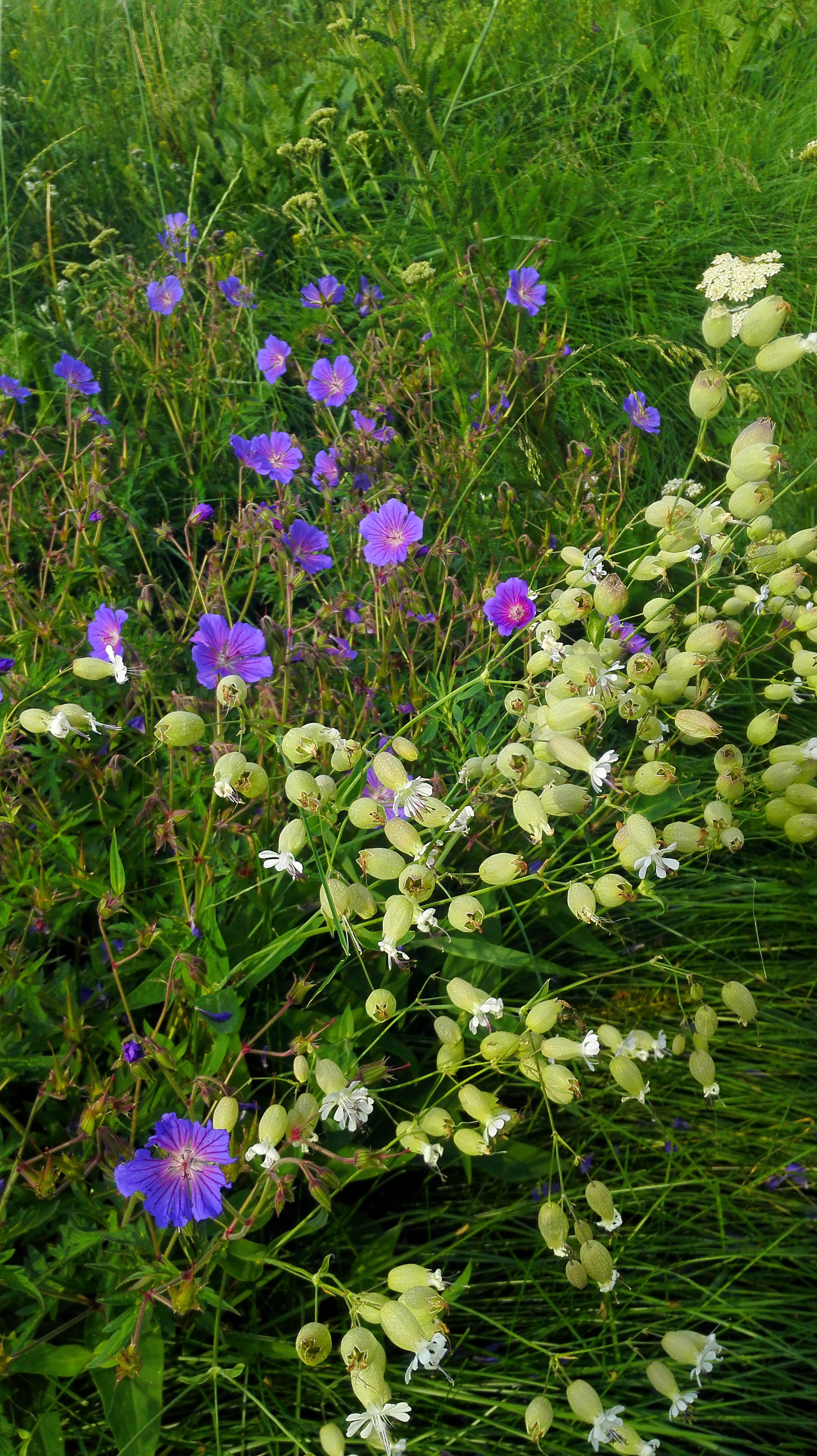 房车环游中国西藏攻略,房车环游旅游攻略