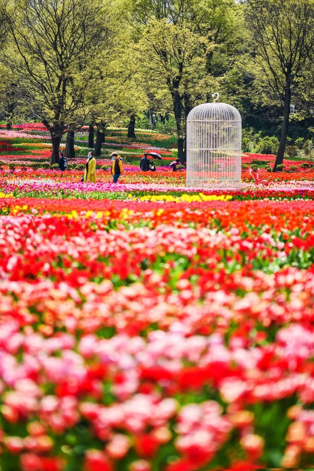 成都市秀丽东方,成都秀丽东方还在开放吗