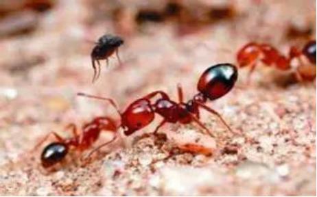 全民国家安全教育日保护公众健康,4.15全民国家安全教育日主题宣传