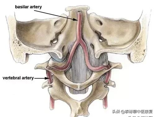头晕失眠颈椎发紧,颈椎引起的头晕