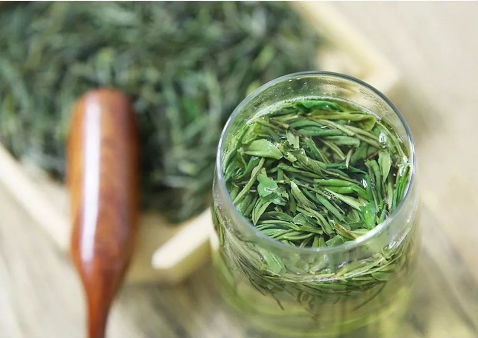 “走进”茶乡，来士陈普茶