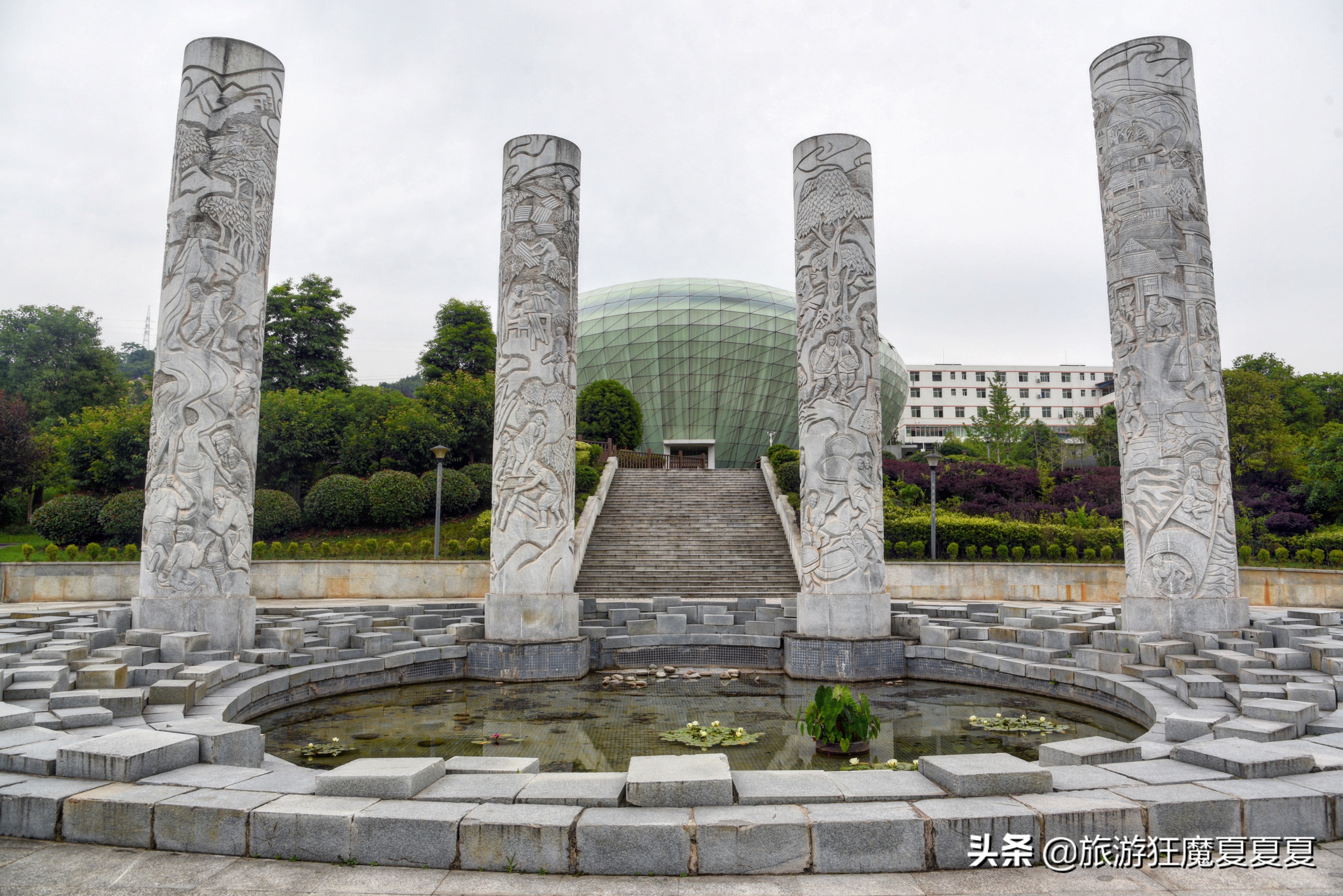 中国银耳多少钱,中国银耳之乡视频