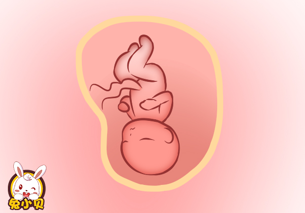 宝宝刚出生就被医生抱走，原来是被带去做这些事情