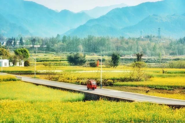 十句诗词写尽人生沧桑,人间情怀最经典十首诗词大全